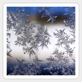 SCENERY 57 - Clear Snowflake Frost White Ice Winter Magnet